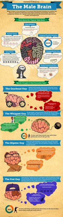 Understanding How the Male Brain Works : Infographics